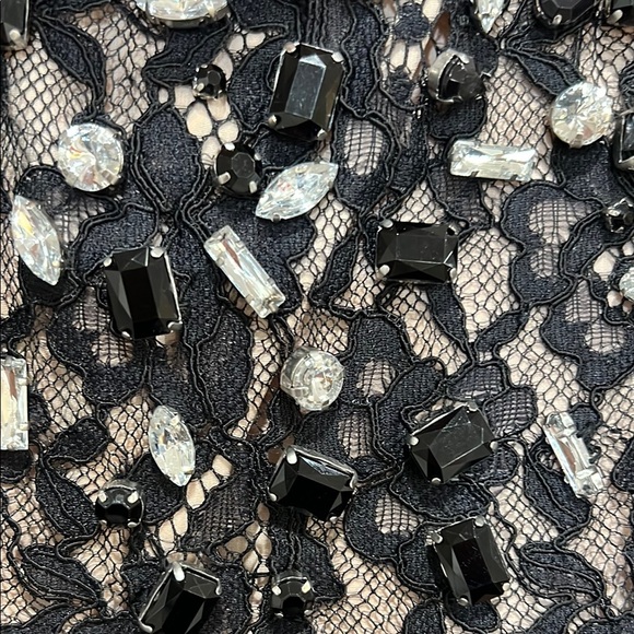 Alice and Olivia Black Lace Sleeveless Top - Picture 5 of 5